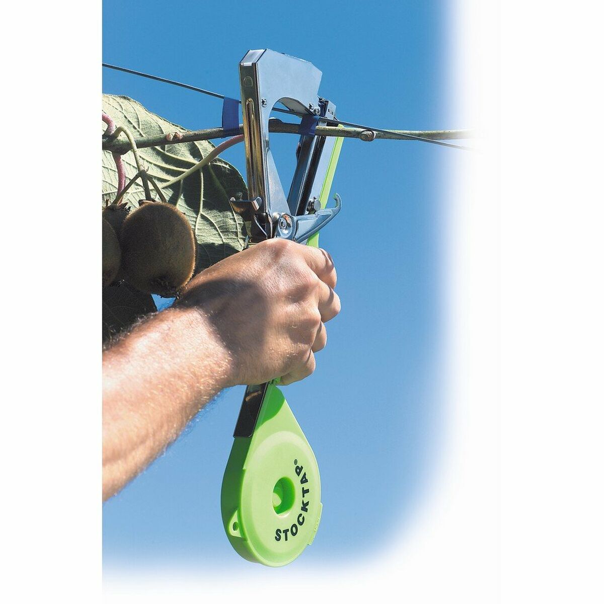 Instrument Stocker Verde Legături 36 x 36 cm